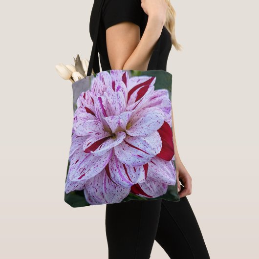 Rode en witte variëteiten Dahlia Bloom Floral Tote Bag (Dichtbij)