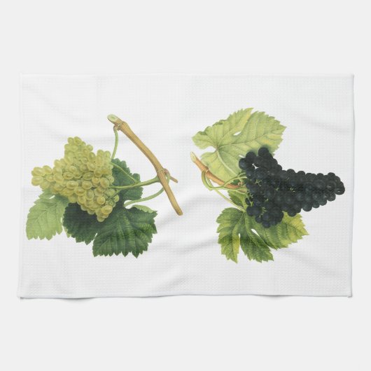  rode en witte wijndruiven op een wijnstok, vrucht theedoek (Horizontaal)