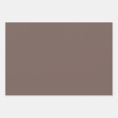 Rode en zilvervis inpakpapier vel (Voorkant 2)