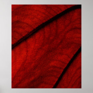 Rode en zwarte colocasie Abstract Poster