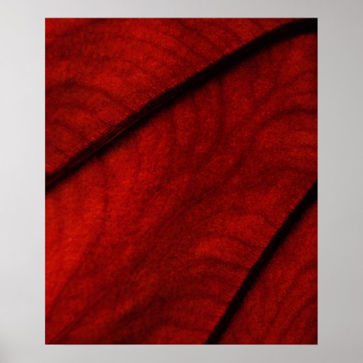 Rode en zwarte colocasie Abstract Poster (Voorkant)