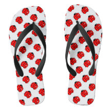 Rode en zwarte luibugs