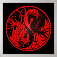 Rode en zwarte vliegers Yin Yang Dragons