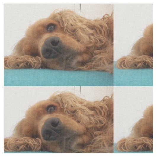 rode engelse cocker spaniel 2.png stof (Close Up)