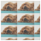 rode engelse cocker spaniel 2.png stof (Swatch)