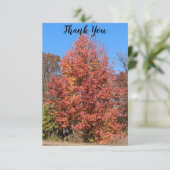 Rode esdoorn dank je wel kaart (Staand voorkant)