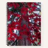Rode esdoornbladeren en reuzensequoia notitieboek (Voorkant)