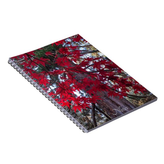 Rode esdoornbladeren en reuzensequoia notitieboek (Rechterzijde)