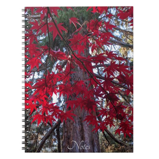 Rode esdoornbladeren en reuzensequoia notitieboek (Voorkant)