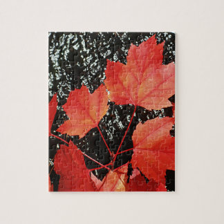 Rode esdoornbladeren herfstseizoen herfst foto legpuzzel