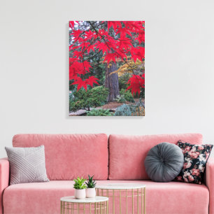 Rode esdoornbladeren in een Japanse tuin Canvas Afdruk