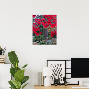 Rode esdoornbladeren in een Japanse tuin Poster