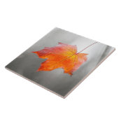 Rode Esdorpenblad - Fluwelen Herfst Tegeltje (Zijkant)