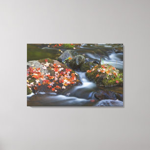 Rode espenbladeren kleuren de rotsen in de canvas afdruk