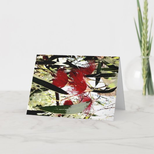 rode eucalyptusbloem feestdagen kaart (Voorkant)