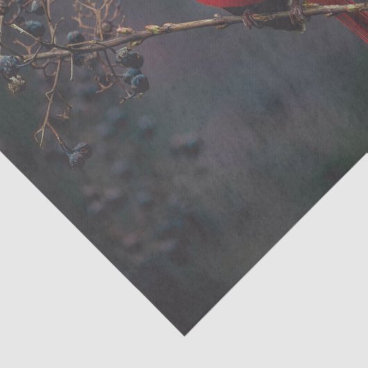 Rode exotische kardinale wilde dieren tissuepapier (Detail)