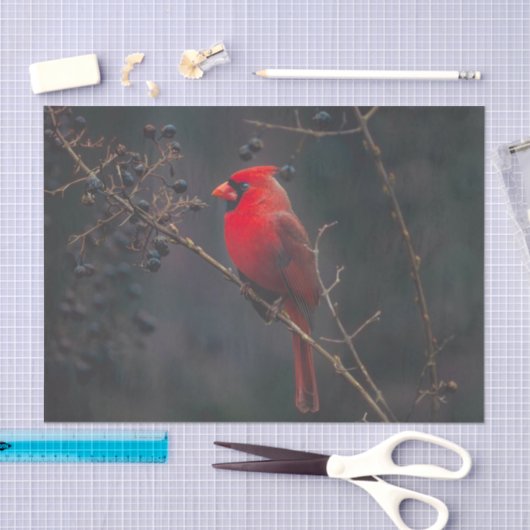 Rode exotische kardinale wilde dieren tissuepapier (Craft)