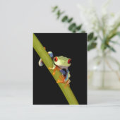 rode eyed boomkikker briefkaart (Staand voorkant)