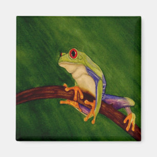 Rode Eyed Tree Frog Magnet