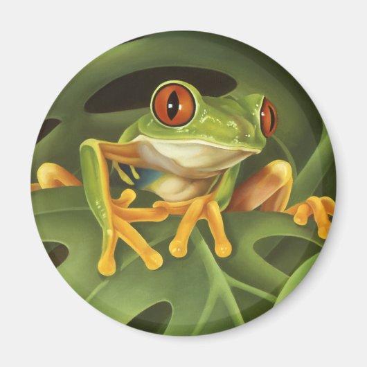 Rode Eyed Tree Frog Magnet (Voorkant)