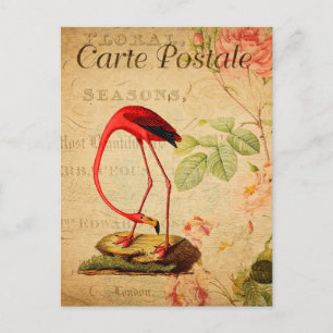  rode flamingo Floral Franse Carte Postale Briefkaart