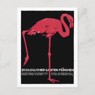  Rode flamingo München dierentuin Briefkaart