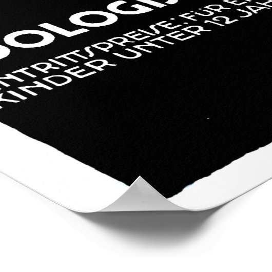  Rode flamingo München dierentuin Poster (Hoek)