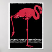 Rode flamingo München dierentuin Poster (Voorkant)
