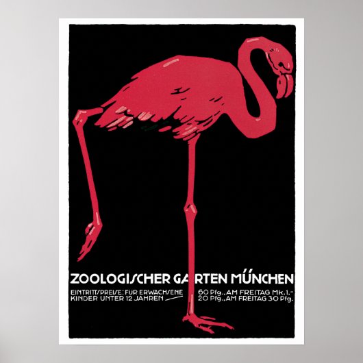 Rode flamingo München dierentuin Poster (Voorkant)