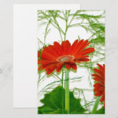 Rode Floral (Voorkant / Achterkant)