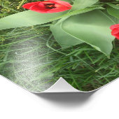 Rode Floral Foto Afdruk (Hoek)