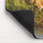 Rode foto Fox Muismat (Hoek)
