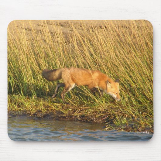 Rode foto Fox Muismat (Voorkant)