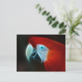 Rode Fractal Parrot blauwe ogen Briefkaart (Staand voorkant)