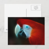 Rode Fractal Parrot blauwe ogen Briefkaart (Voorkant / Achterkant)