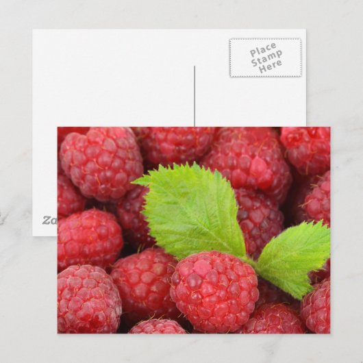 Rode frambozen briefkaart (Voorkant / Achterkant)