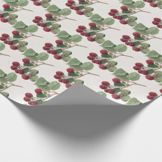  rode frambozen van Ellen Schutt Cadeaupapier (Hoek)