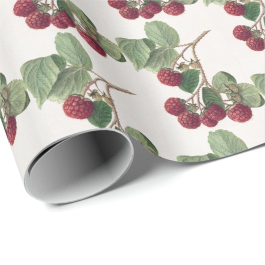  rode frambozen van Ellen Schutt Cadeaupapier (Rol Hoek)