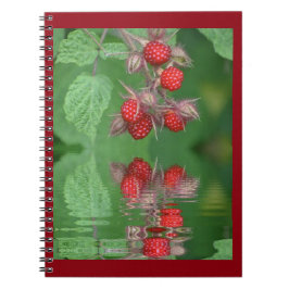 Rode frambozenreflectie notitieboek