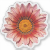 Rode Gazania Treasure Flower Blossom Sticker (Voorkant)