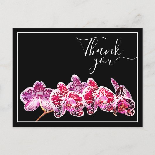 Rode geaderde orchidee tegen zwarte achtergrond Da Briefkaart (Voorkant)
