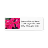 Rode Gedifferentieerde Poinsettias Floral Return A Etiket (Voorkant)