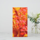 RODE GEEL AUTUMN VERLAAT HERFST MAPEL NATUUR BEAUT (Staand voorkant)