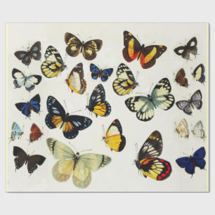 RODE GEEL BLAUW WITTE BUTTERFLIES Beauty Natuur Cadeaupapier