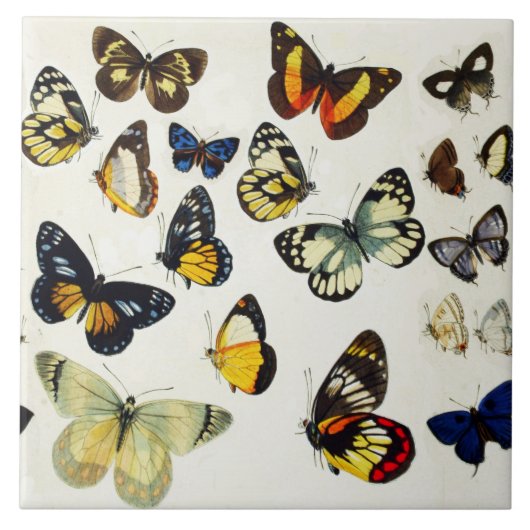 RODE GEEL BLAUW WITTE BUTTERFLIES Beauty Natuur Tegeltje (Voorkant)