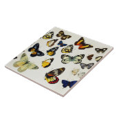 RODE GEEL BLAUW WITTE BUTTERFLIES Beauty Natuur Tegeltje (Zijkant)