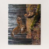 "Rode-geëtiketteerde Hawks" Legpuzzel (Verticaal)