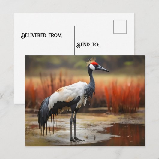 Rode gekroonde kraan staan op water briefkaart (Voorkant / Achterkant)