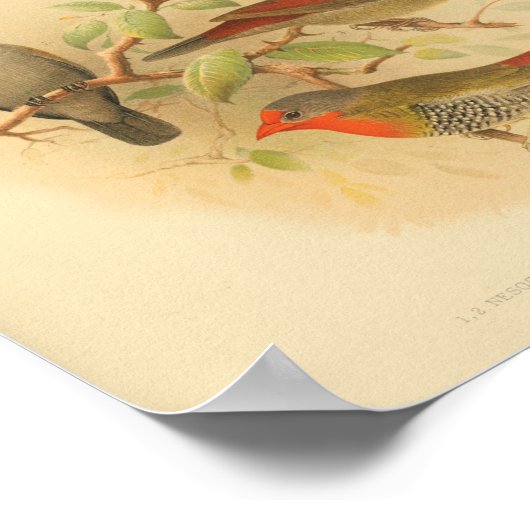 rode, gele afdrukken poster (Hoek)