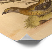  rode gele afdrukken poster (Hoek)